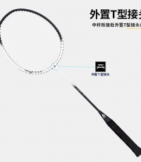 安格耐特F2100羽毛球拍(綠色)(2個/副)